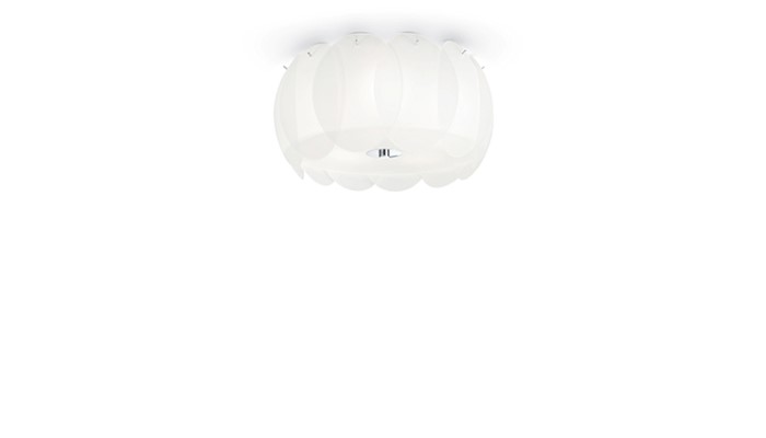 OVALINO PL5