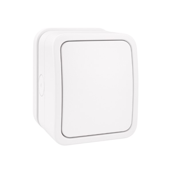 1 Gang 20A DP IP66 Weatherproof Switched