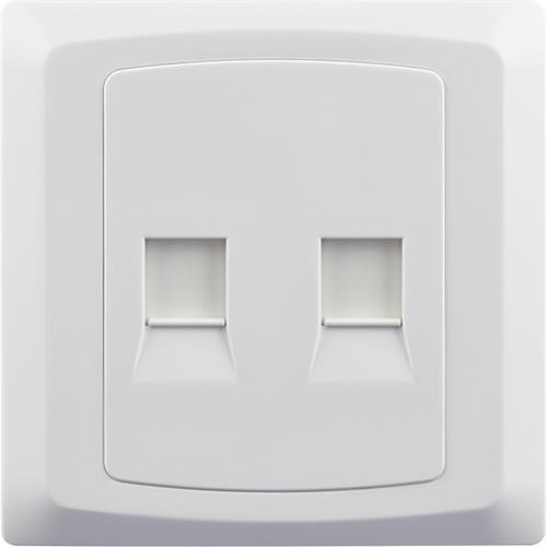 CAT5 2 GANG RJ45 DATA SOCKET(8 TERMINAL)