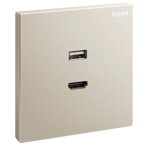 CHAMP 1G BS HDMI & USB SOCKET