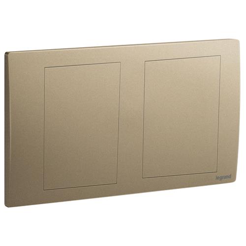 DB 2G BLANKING PLATE