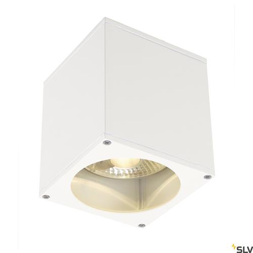 BIG THEO, outdoor ceiling light, QPAR111