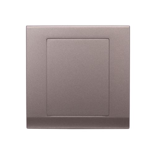 SIMPLICITY 1G BLANK PLATE CHAR