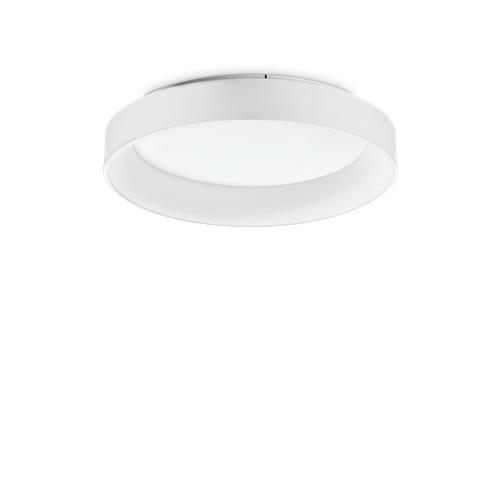 ZIGGY PL D060 BIANCO