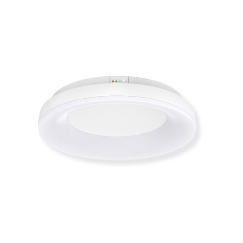 Frameless Halo Ceiling Light