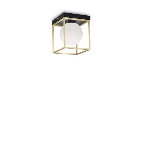 LINGOTTO PL1 OTTONE