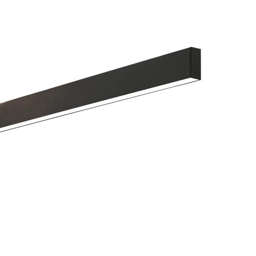 STEEL SP2 D35 BI-EMISSION WIDE 3000K NER