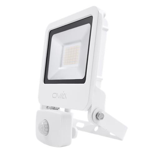 30W FL CW WH IP65PIR