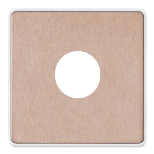 1G SINGLE DIMMER FRONTPLATE