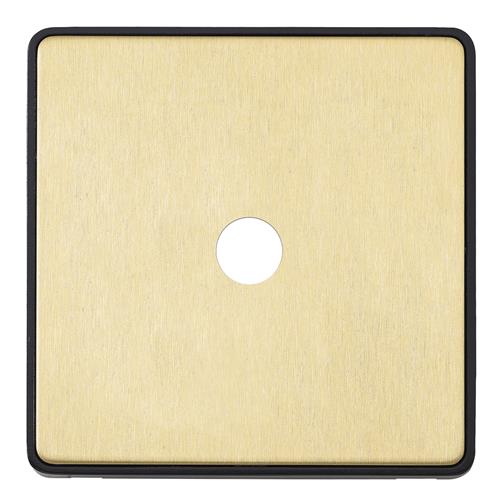 1G SINGLE DIMMER FRONTPLATE