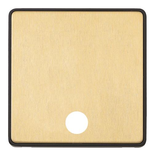 1G 25A CONN UNIT FLEX FRONTPLATE