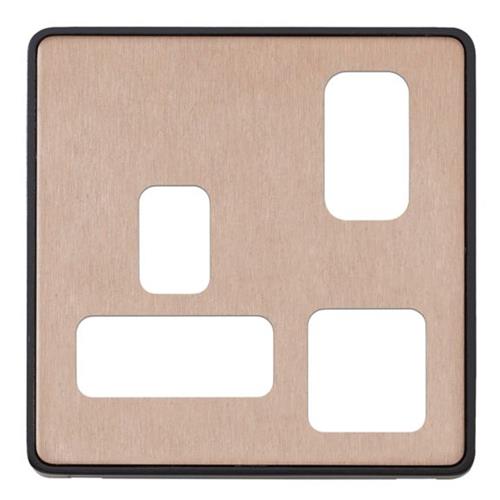 1G DP S/S 2 PORT USB CHARGER FRONTPLATE