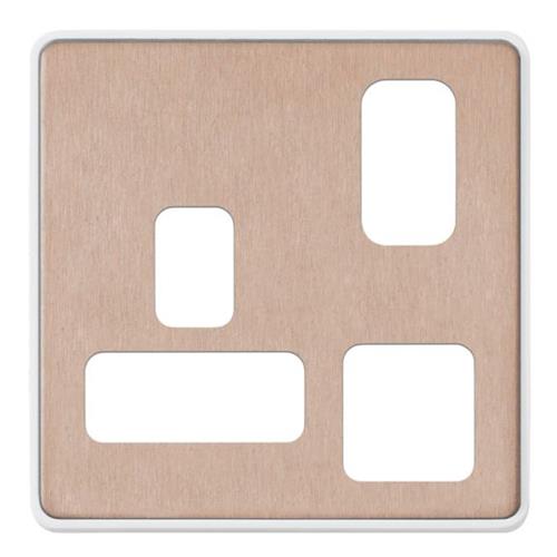 1G DP S/S 2 PORT USB CHARGER FRONTPLATE