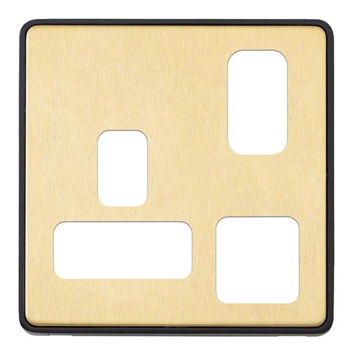 1G DP S/S 2 PORT USB CHARGER FRONTPLATE