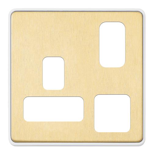 1G DP S/S 2 PORT USB CHARGER FRONTPLATE